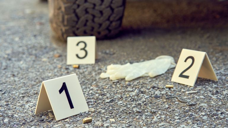 La Belgique ne lutte pas assez efficacement contre la criminalité organisée, selon le GAFI La Belgique ne lutte pas assez efficacement contre la criminalité organisée, selon le GAFI