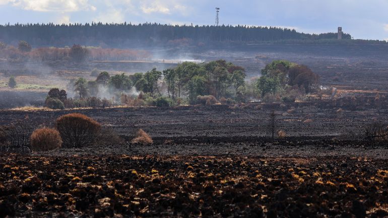 Incendie dans les Fagnes : une nuit calme malgré plusieurs reprises de feu