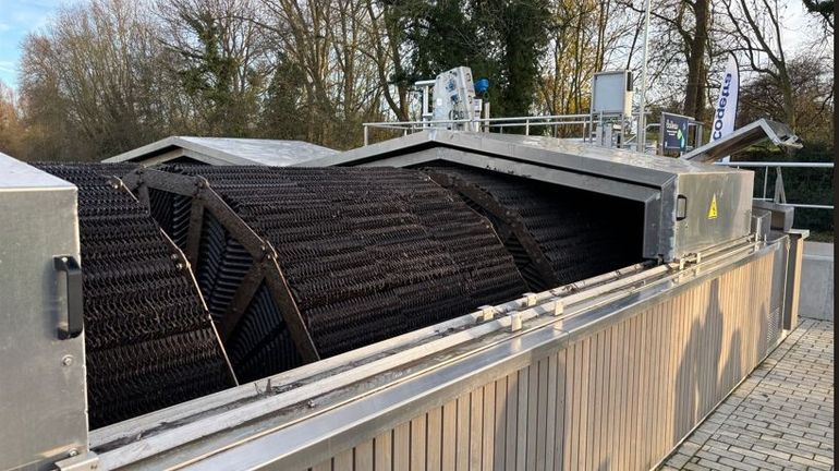 Eaux usées traitées à Autre-Église : une solution écologique et innovante avec bio disques et roseaux