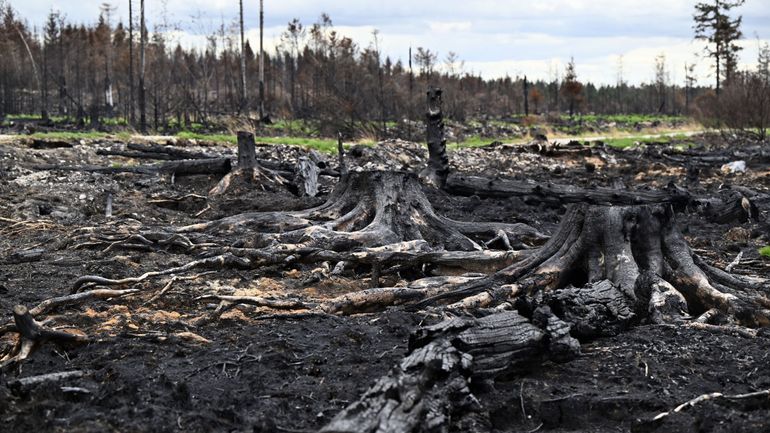 Incendie des Hautes-Fagnes : quel est le vrai coût de l'impréparation climatique de la Belgique ?