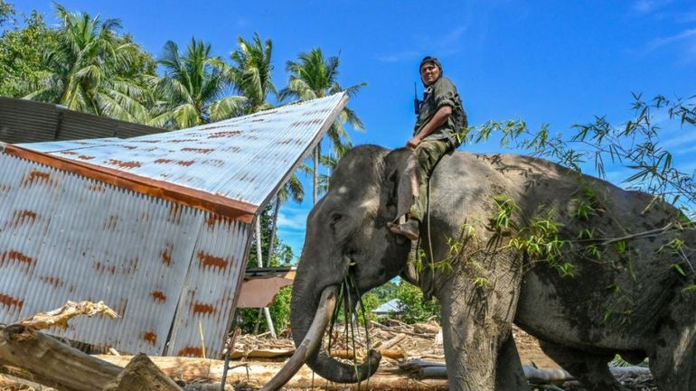 Inondations en Indonésie : le bilan monte à 950 morts et 5000 blessés