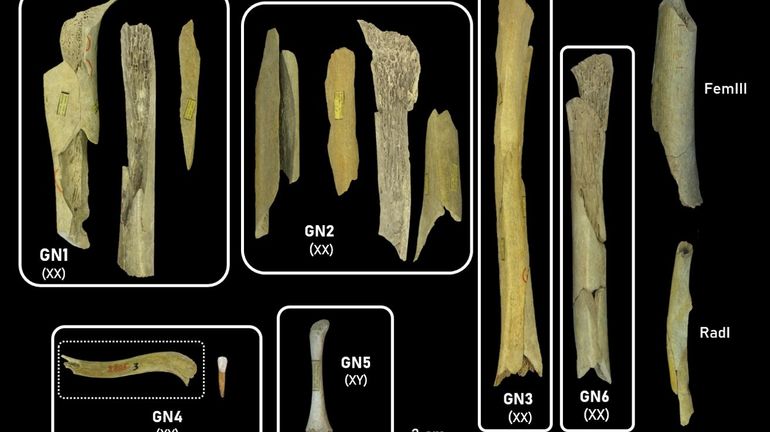Les Néandertaliens des grottes de Goyet étaient cannibales Les Néandertaliens des grottes de Goyet étaient cannibales