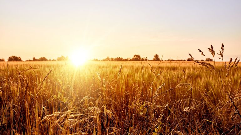 Avec le retour d'El Niño, quelles conséquences sont à prévoir sur nos cultures et sur les matières premières ?