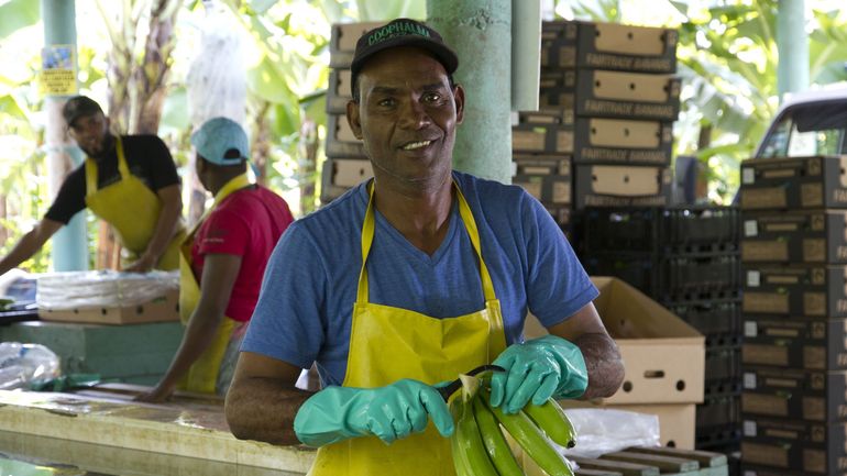 Le "Fairbruary" ou le défi de la consommation équitable du mois de février