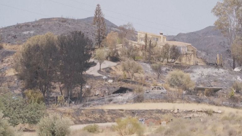 Au moins un Belge a perdu la vie dans les incendies en Andalousie, les enfants des disparus présents sur place