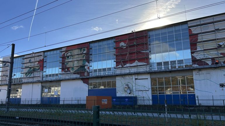 Une fresque monumentale en cours de réalisation sur les murs du minéralier spadois Une fresque monumentale en cours de réalisation sur les murs du minéralier spadois