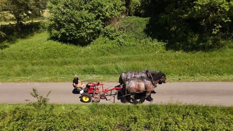 À Vielsalm, le RAVeL se fauche au rythme des chevaux