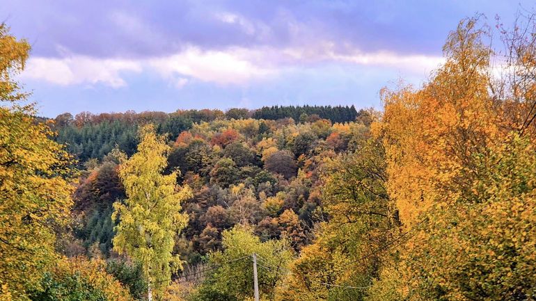 Météo en Belgique : une accalmie provisoire avant les pluies du week-end Météo en Belgique : une accalmie provisoire avant les pluies du week-end