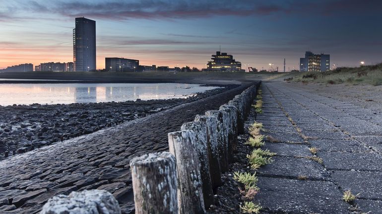 Pays-Bas : le géant chimique Dow supprime des centaines d'emplois à Terneuzen, des filiales existent en Belgique