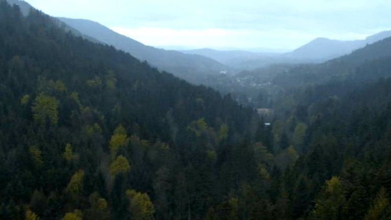 Les forêts du Grand-Est au cinéma : un territoire qui s’enracine à l’écran