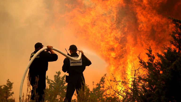 Feux de forêt en Croatie : sur une île de Brac, alerte activée par rapport à un incendie qui a déjà ravagé 3000 hectares
