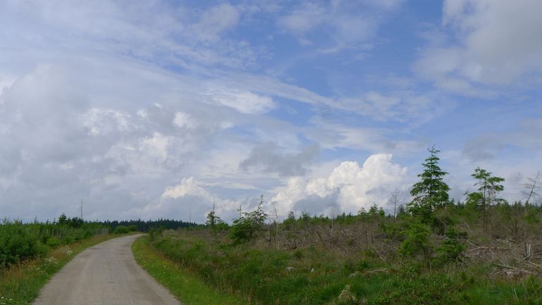 Météo en Belgique : toujours quelques averses ce mercredi
