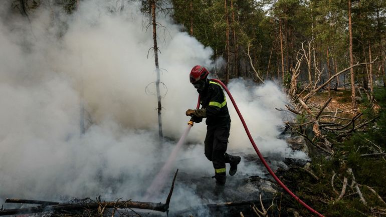Forêt de Fontainebleau : les feux sont "fixés", six personnes dont un pompier placées en garde à vue