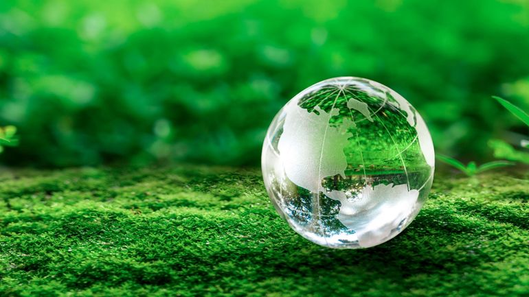 "Si le combat climatique est mort, tous les autres le seront aussi" : mobilisation à Bruxelles pour clamer l'urgence climatique