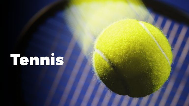European Open - David Goffin fataliste après sa défaite : "Comme un alpiniste qui commencerait à avoir le vertige, je fais n'importe quoi"