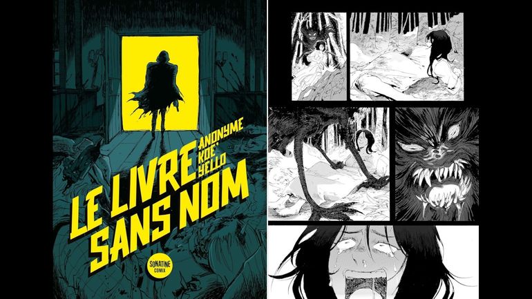 "Le Livre Sans Nom" une saga romanesque la plus délirante de tous les temps