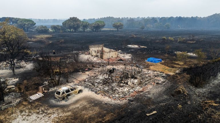 Incendies en Europe : la Wallonie aussi en danger avec le changement climatique ? "Personne ne peut dire que nous sommes prêts" estime le DNF