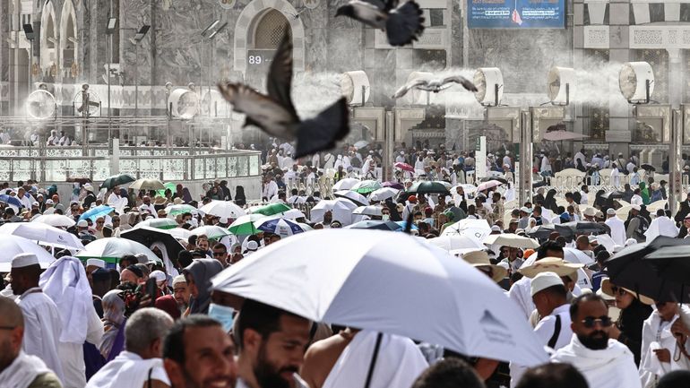 Arabie saoudite : à La Mecque, sous des chaleurs extrêmes, le hajj soumet les pèlerins à rude épreuve