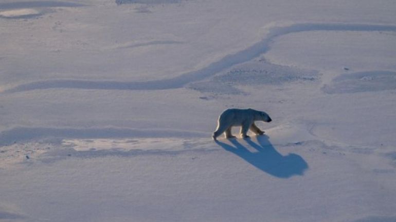 L’Arctique a vécu l’année la plus chaude jamais enregistrée L’Arctique a vécu l’année la plus chaude jamais enregistrée