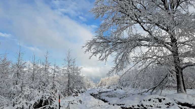 Novembre 2025 : un mois dans la moyenne mais tout en contraste