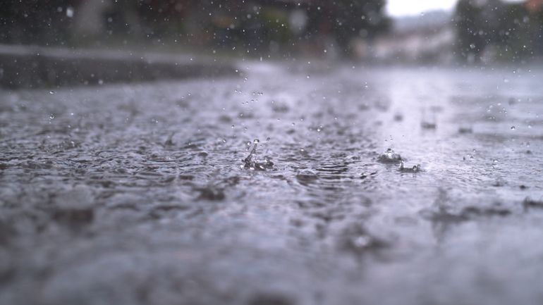 Sécheresse en Belgique : les dernières pluies ne suffisent pas à combler le déficit