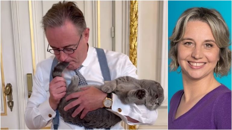 La vidéo de Bart De Wever avec son chat : pur génie ou grand n'importe quoi du Premier ministre ?