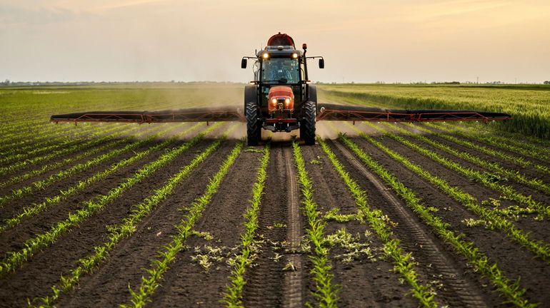 Hausse des prix des engrais : que peut décider la Commission européenne et quand ?