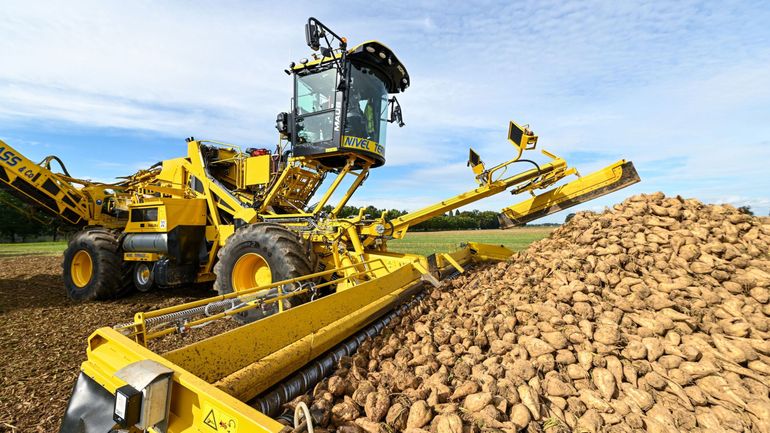 L'autorité de la concurrence adresse une série de griefs à la Raffinerie Tirlemontoise