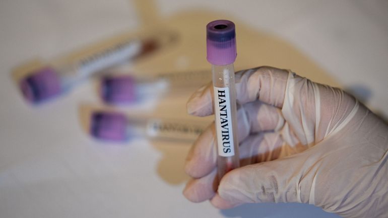 L'hantavirus agite une complosphère hantée par le Covid
