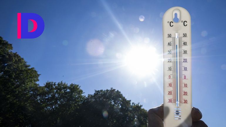 La vague de chaleur du mois de juin exceptionnellement meurtrière, surtout en Wallonie