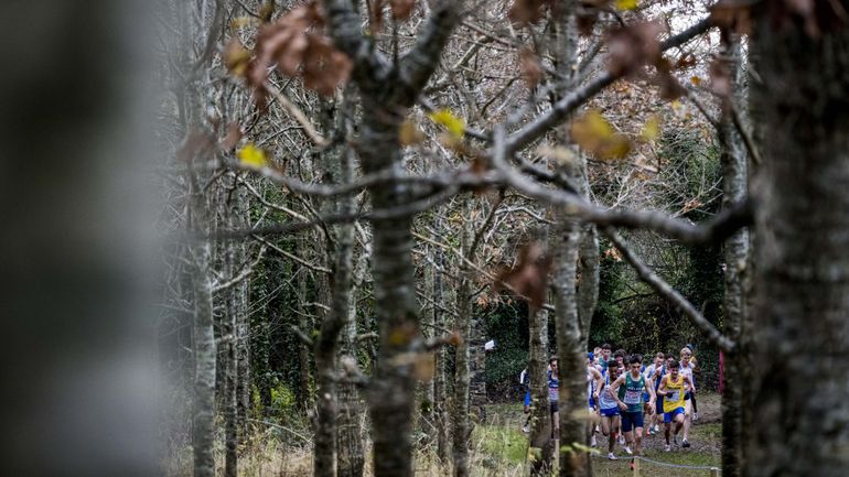 Les Belges espèrent briller collectivement à Lagoa : suivez les championnats d’Europe de cross (direct vidéo dès 10h25) Les Belges espèrent briller collectivement à Lagoa : suivez les championnats d’Europe de cross (direct vidéo dès 10h25)