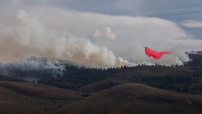Des dizaines de milliers d'évacuations en cours face à un feu de forêt dans le Nevada
