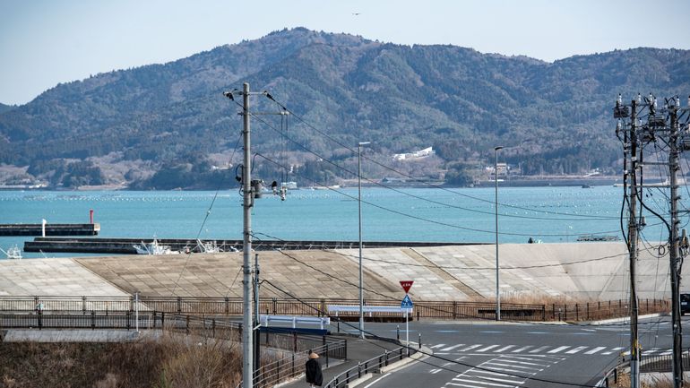 Un tsunami de 80 centimètres après un séisme de magnitude 7,4 dans le nord du Japon