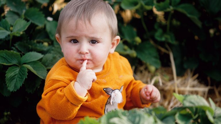 Fin de l’anonymat : dès 12 ans, un enfant né grâce au don de sperme pourra connaître l’identité du donneur