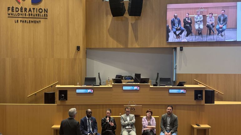 "Boudin noir", "retourne à tes casseroles" : la dégradation du climat politique inquiète les députés francophones