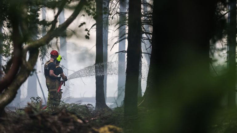 Incendie dans les Fagnes : la Belgique a déjà enregistré 234 feux de végétation en 2026