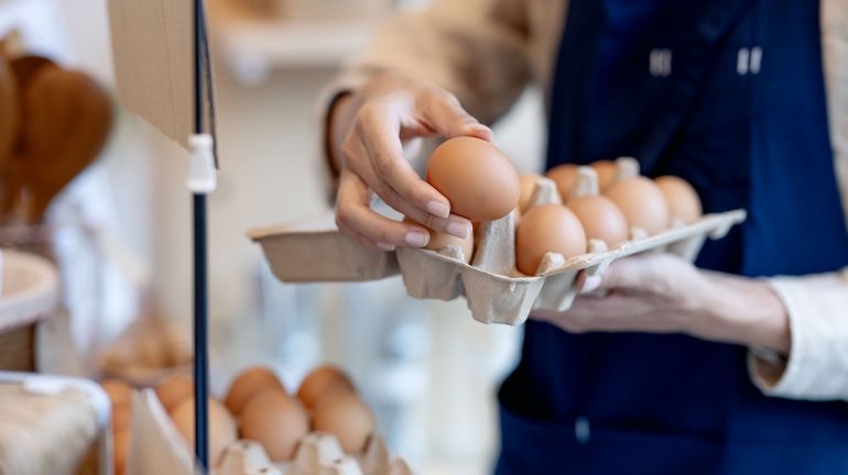 L’œuf à des prix records : le nouveau baromètre économique qui dit tout de notre niveau de vie L’œuf à des prix records : le nouveau baromètre économique qui dit tout de notre niveau de vie