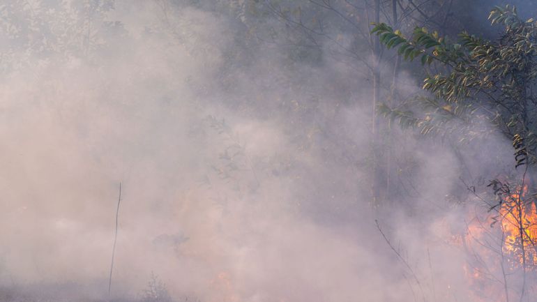 Chaleur : le Service public wallon appelle à la vigilance face au risque d'incendie