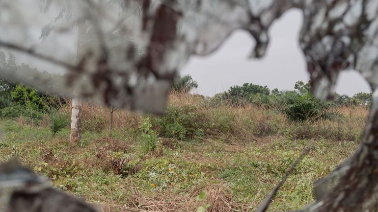 République démocratique du Congo : à l'ouest du pays, un conflit « oublié » s'enlise aux portes de Kinshasa
