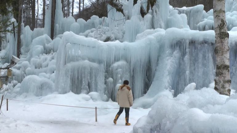 Féerie hivernale : au Japon, un aubergiste transforme la montagne en forêt de glace