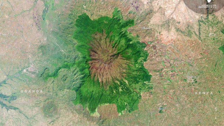L'image satellite du jour : le verdoyant parc national du Mont Elgon, partagé par l'Ouganda et le Kenya