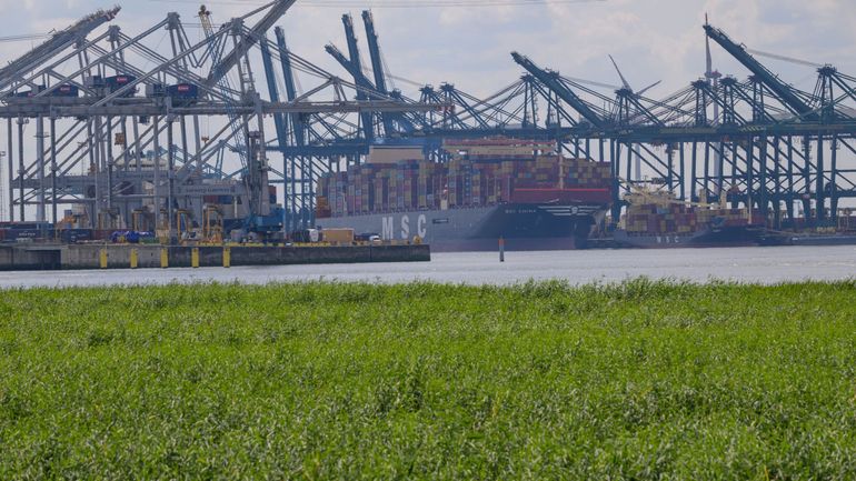 Une nonantaine de navires bloqués dans les ports de Zeebrugge, Gand et Anvers suite à une action des pilotes maritimes