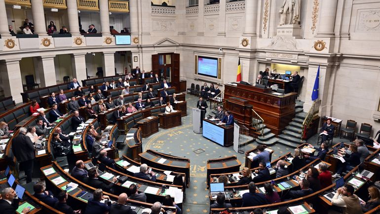 Aidants-proches, insécurité des femmes et survol de Bruxelles : suivez les questions de la séance plénière à la Chambre