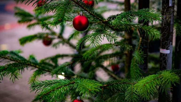 Défi Viva for Life : vente de boules de Noël du 5 au 7 décembre à Braine-le-Comte