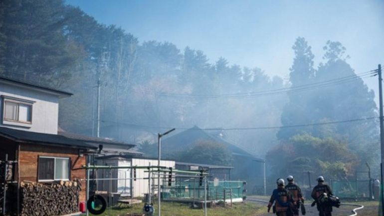 Nord du Japon : un important feu de forêt maîtrisé après 11 jours