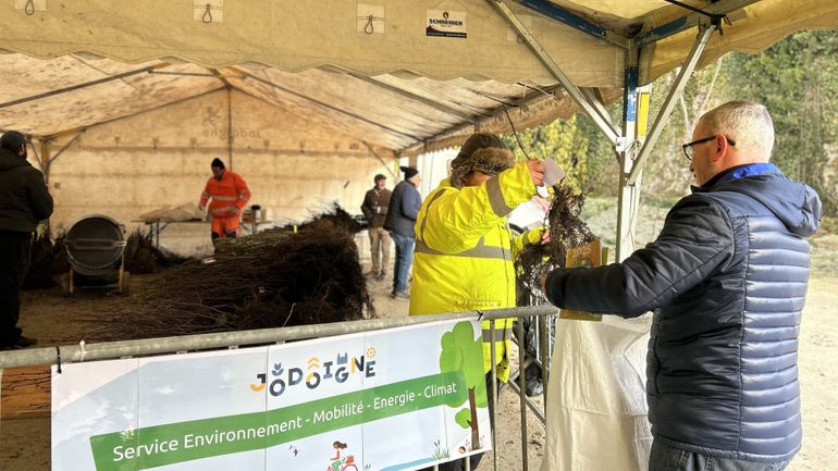 La « haie » nous rend service : 213 communes distribuent des arbres et arbustes ce week-end