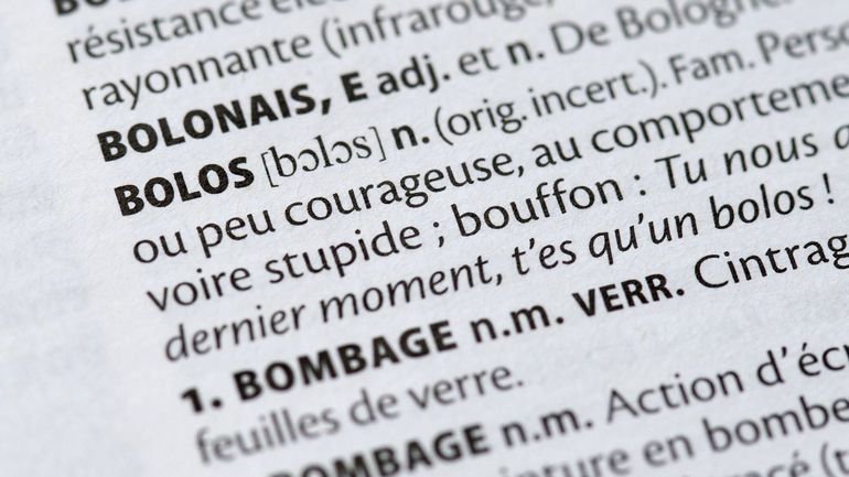 Crush, bouiner et prompter : Quoi de neuf dans les dictionnaires ?