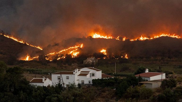 Incendie en Espagne : pourquoi faut-il notamment repenser l'agriculture pour prévenir de nouveaux feux ?