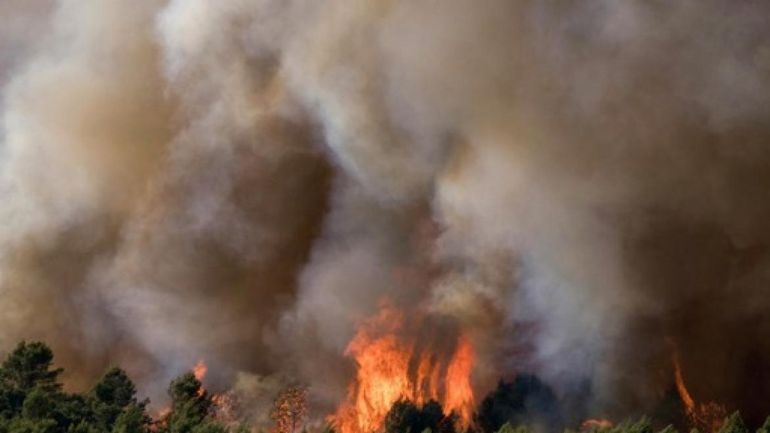 France : 150 pompiers encore mobilisés dans l'Aude, l'incendie fixé