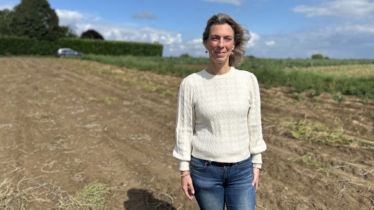 Des voleurs pillent un champ de pommes de terre à Céroux-Mousty, les producteurs dépités